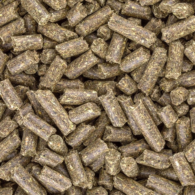 Großansicht der Bildergalerie HAVENS Gastro+ 40x20kg, Pellets mit Natriumbicarbonat für Pferde