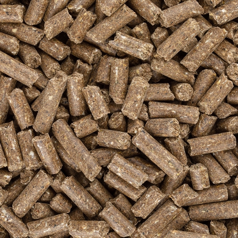Großansicht der Bildergalerie HAVENS Basis-Sportbrok 10x25kg, haferfreies Kraftfutter, Pellet 7mm für Pferde