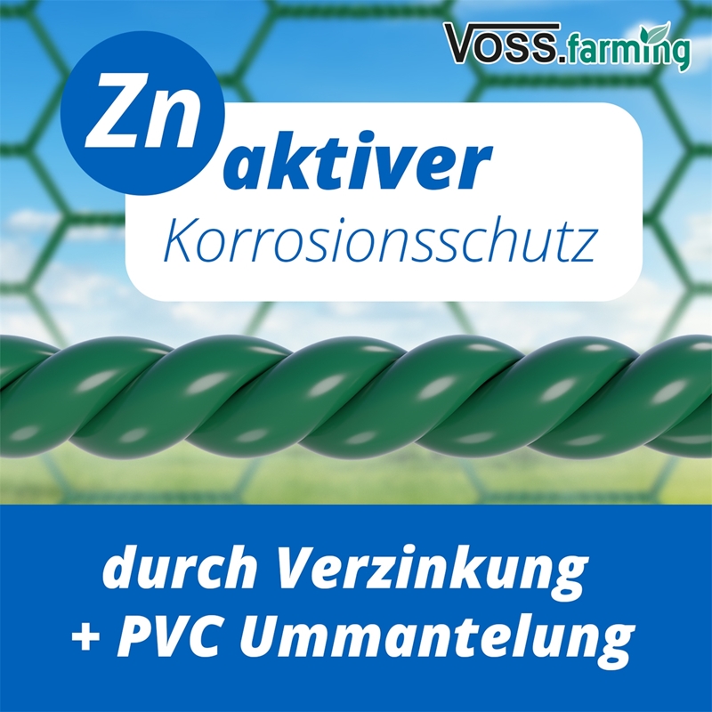 Großansicht der Bildergalerie VOSS.farming Hühner Freilaufgehege 170x300x195cm, Hühnerstall, Voliere