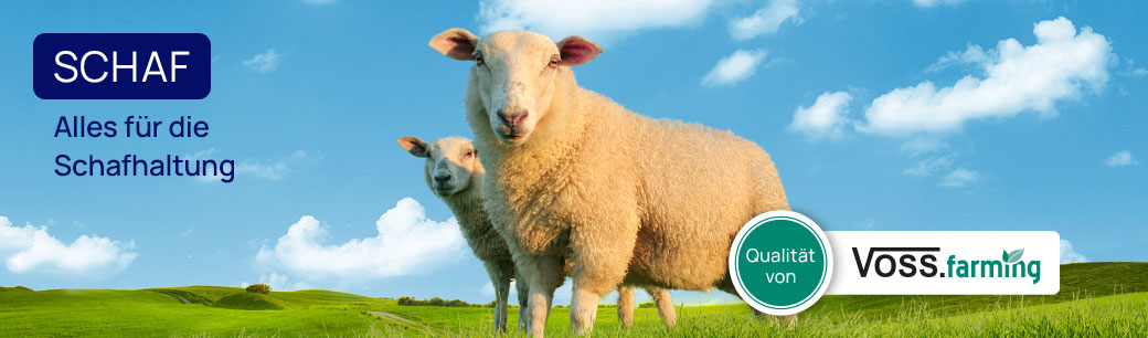 Futtertröge für Schafe