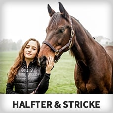 Halfter/Stricke